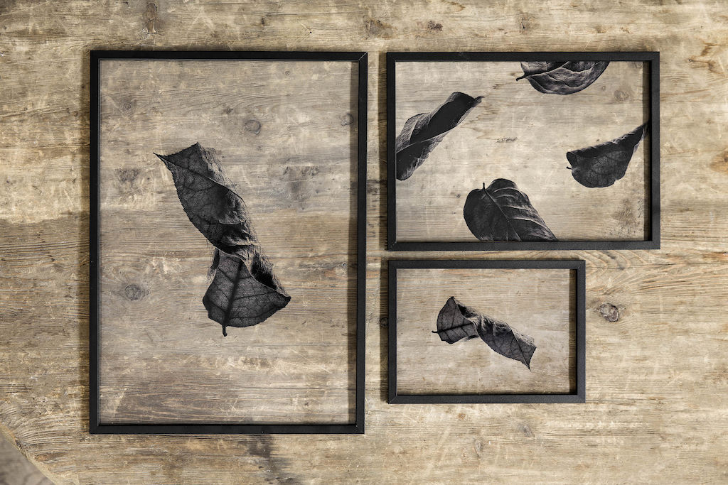 Moebe Floating Leaves Lifestyle15