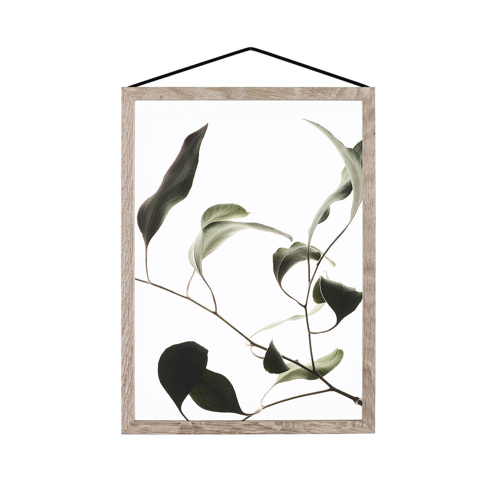 Frame